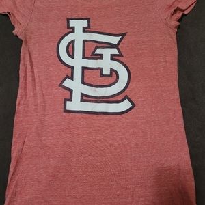 Small VS Pink Cardinals